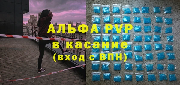 ПСИЛОЦИБИНОВЫЕ ГРИБЫ Бородино