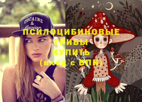 ПСИЛОЦИБИНОВЫЕ ГРИБЫ Бородино