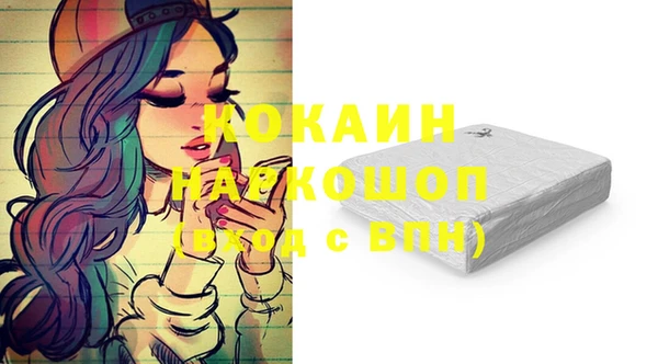 ПСИЛОЦИБИНОВЫЕ ГРИБЫ Бородино