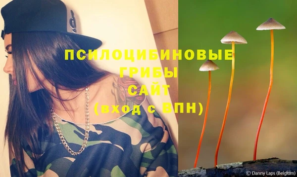 гашик Бугульма
